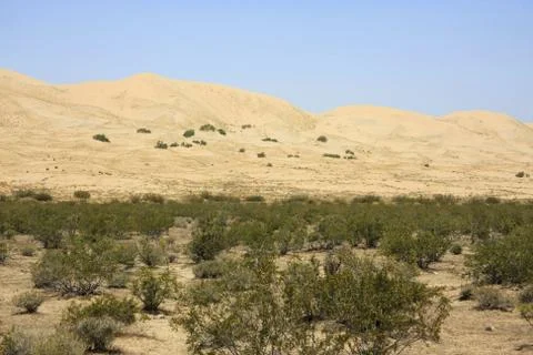 Dunes Stock Photos