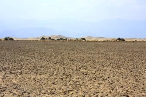 Dunes Stock Photos