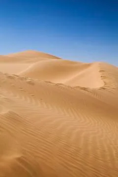 Dunes 스톡 사진