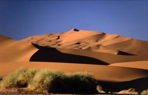 Dunes Stock Photos