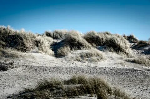 Dunes Stock Photos