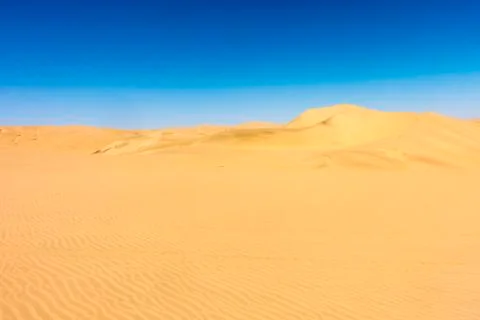 The Dunes Stock Photos