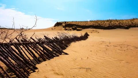 Dunes 스톡 사진