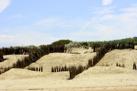 Dunes Stock Photos