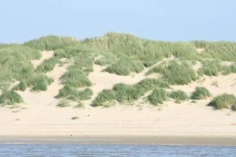 Dunes Stock Photos