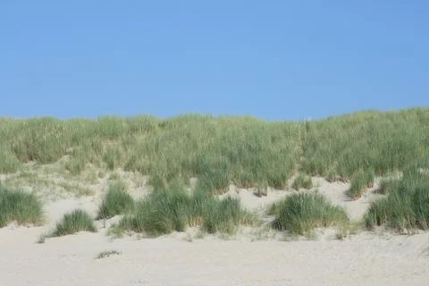 Dunes Stock Photos