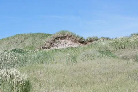 Dunes Foto stock
