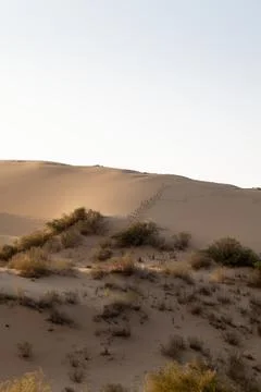 Dunes Stock Photos