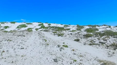 Dunes in Punta De Choros Stock Footage 123243427