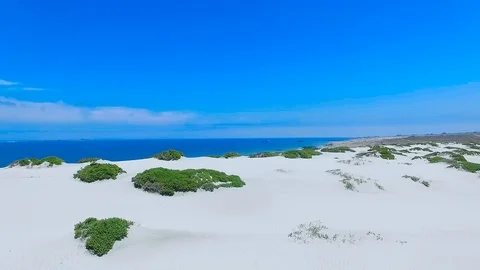 Dunes in Punta De Choros Stock Footage 123243631