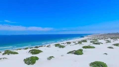 Dunes in Punta De Choros Stock Footage 123243700