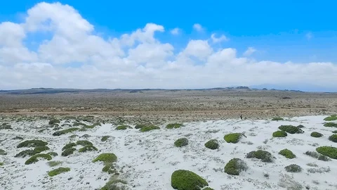 Dunes in Punta De Choros Stock-Footage 123678048