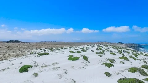 Dunes in Punta De Choros Stock-Footage 123678197