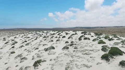Dunes in Punta De Choros Video stock 124621571