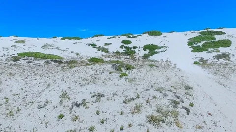 Dunes in Punta De Choros Video stock 124621604