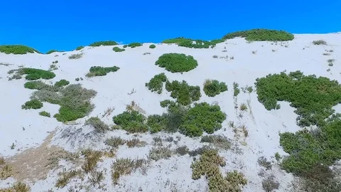 Dunes in Punta De Choros Video stock 124621618