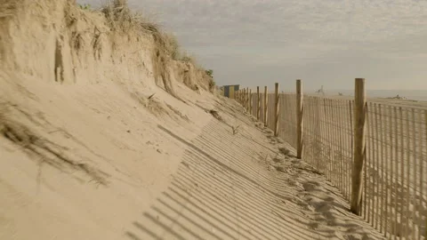 Dunes at Rehoboth Beach, Delaware Stock Footage 208898898