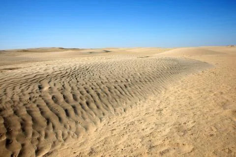 Dunes in sahara Stock Photos