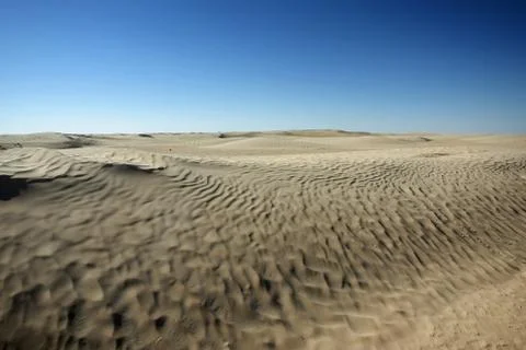 Dunes in sahara Foto stock