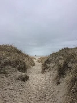 Dunes in St. Peter-Ording on a cloudy winter day Stock Photos