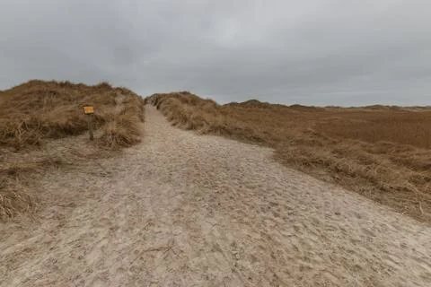 Dunes in St. Peter-Ording on a cloudy winter day Stock Photos