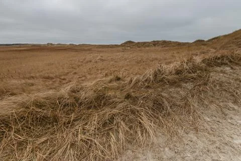 Dunes in St. Peter-Ording on a cloudy winter day Stock Photos