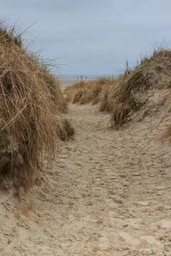Dunes in St. Peter-Ording on a cloudy winter day Stock Photos