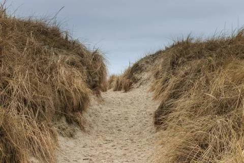 Dunes in St. Peter-Ording on a cloudy winter day Stock Photos