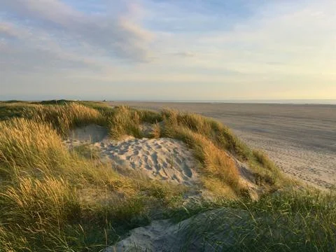 Dunes St. Peter-Ording Stock Photos