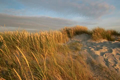 Dunes St. Peter-Ording Stock Photos