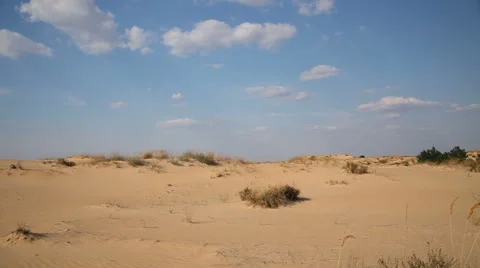Dunes with vegetation in the desert Vídeo Stock 67514280