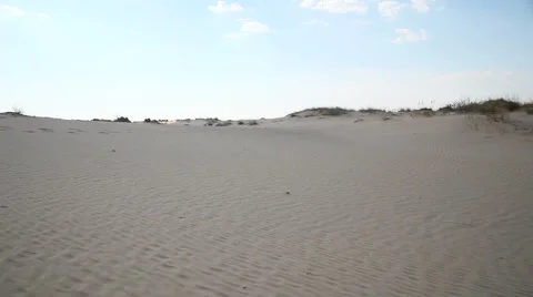 Dunes with vegetation in the desert 動画素材 67514363