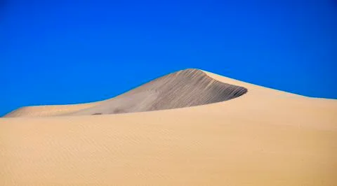 Dunes, WA Stock Photos
