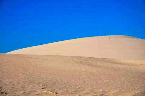 Dunes, WA Stock Photos