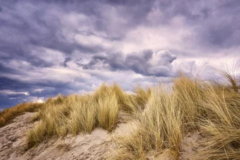 Dunes in Warnemunde with dramatic clouds. Stock Photos