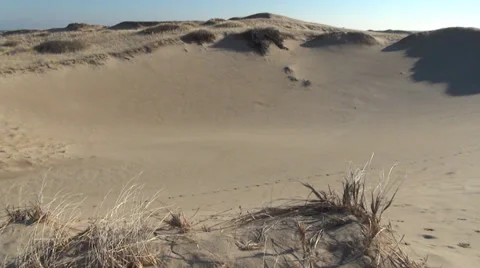 *dunesforegroundgrass Video stock 33910265