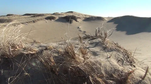 *dunesforegroundgrass2 Video stock 33910296