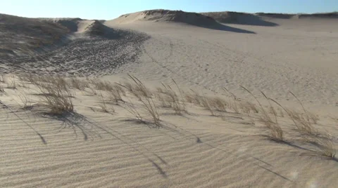 *dunesgrass3 Video stock 33910300