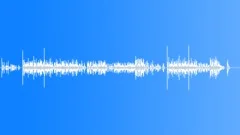 Dung Beetle Jig (folk, bouncy, country, fiddle, hillbilly, fun) Stock Music