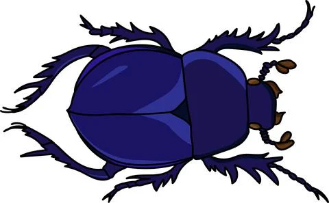 Dung beetle on a white background vector Stock Illustration