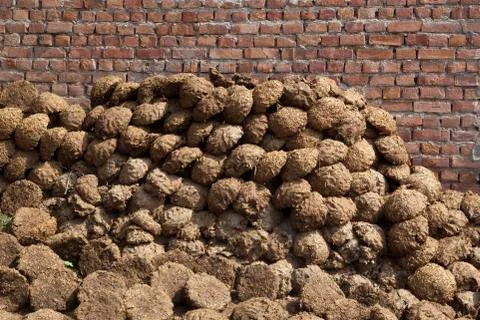 Dung fuel Stock Photos