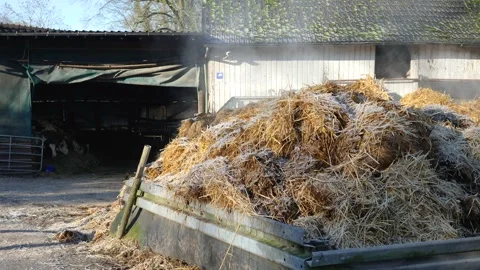 Dung heap on a farm Stock Footage 232709243