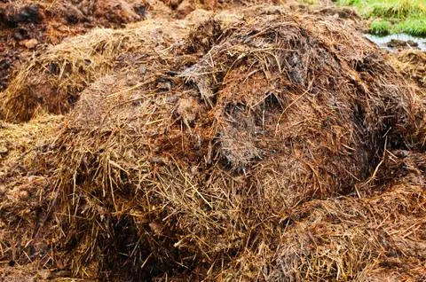 Dung hill Stock Photos