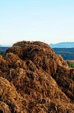 Dung hill 스톡 사진