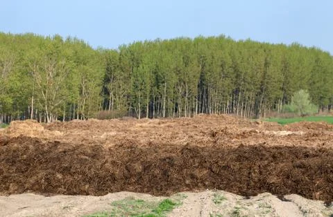 Dung hill Stock Photos