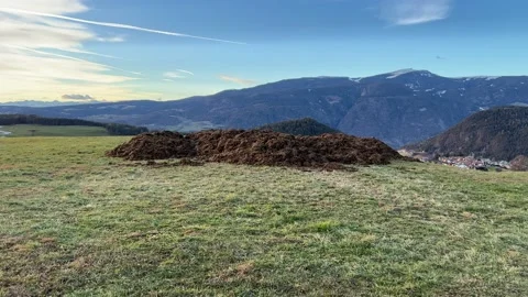 Dung in the mountains Stock Footage 231637907