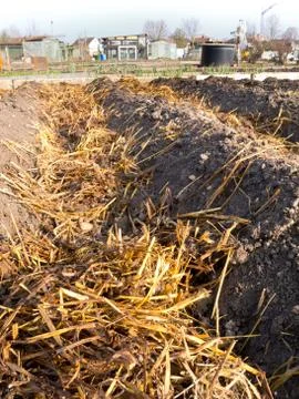 Dung on a vegetable garden bed Stock Photos