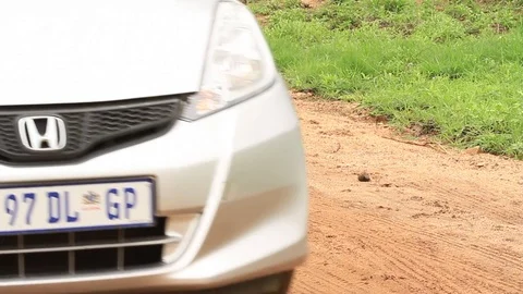 Dungbeetle crossing road with load and Car comes Stock Footage 83997274
