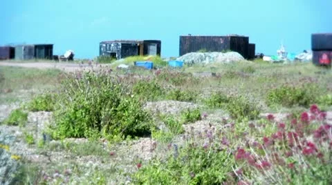 Dungeness beach with cargo holders Video stock 11438865