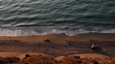 Dungeness Spit Cliffs Stock Footage 42331256
